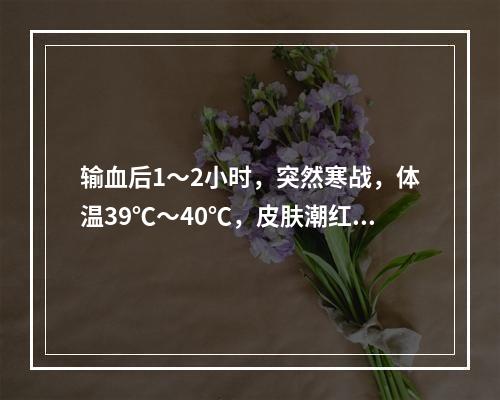 输血后1～2小时，突然寒战，体温39℃～40℃，皮肤潮红，头