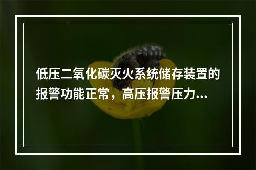 低压二氧化碳灭火系统储存装置的报警功能正常，高压报警压力设定