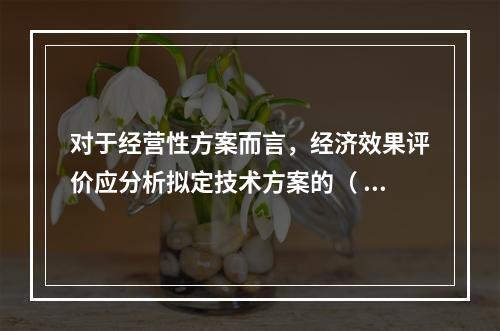 对于经营性方案而言，经济效果评价应分析拟定技术方案的（  ）