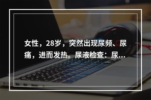 女性，28岁，突然出现尿频、尿痛，进而发热。尿液检查：尿蛋白