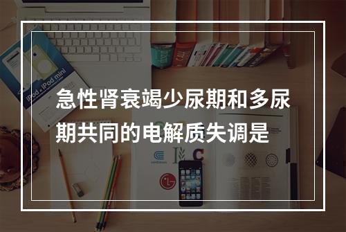 急性肾衰竭少尿期和多尿期共同的电解质失调是