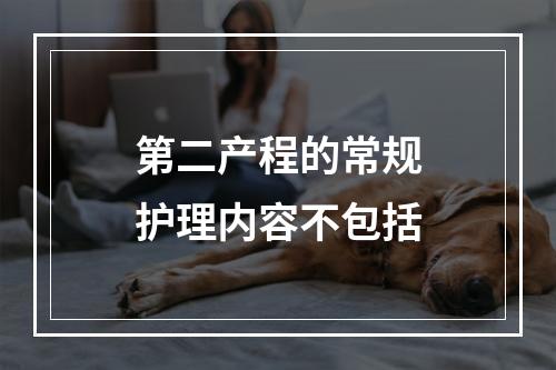 第二产程的常规护理内容不包括