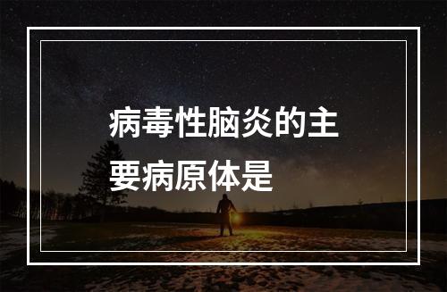 病毒性脑炎的主要病原体是　