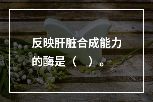 反映肝脏合成能力的酶是（　）。