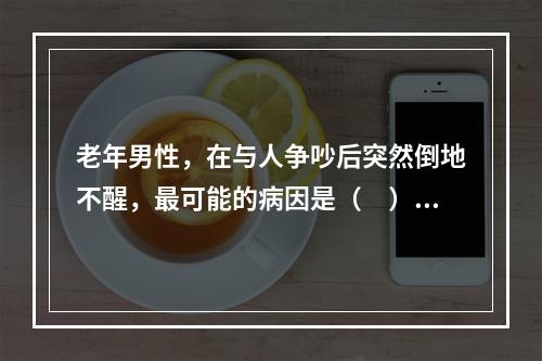 老年男性，在与人争吵后突然倒地不醒，最可能的病因是（　）。