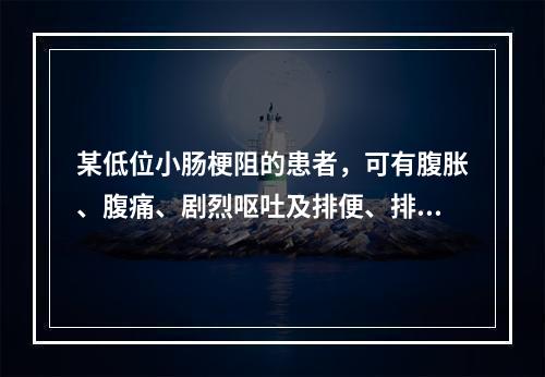 某低位小肠梗阻的患者，可有腹胀、腹痛、剧烈呕吐及排便、排气停