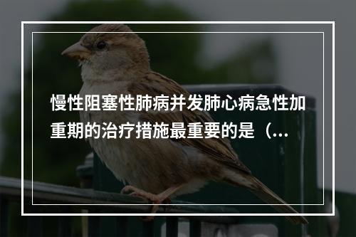 慢性阻塞性肺病并发肺心病急性加重期的治疗措施最重要的是（　）