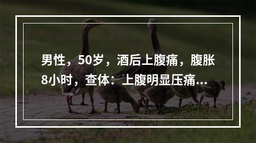 男性，50岁，酒后上腹痛，腹胀8小时，查体：上腹明显压痛，肌