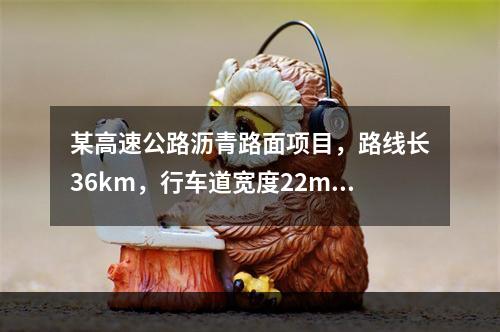 某高速公路沥青路面项目，路线长36km，行车道宽度22m，沥