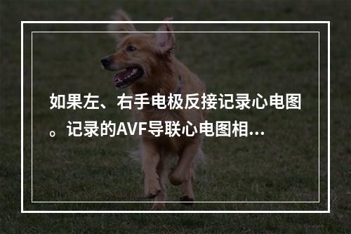 如果左、右手电极反接记录心电图。记录的AVF导联心电图相当于