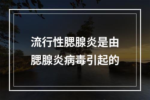 流行性腮腺炎是由腮腺炎病毒引起的