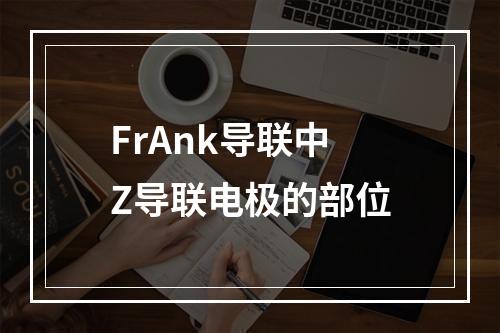 FrAnk导联中Z导联电极的部位