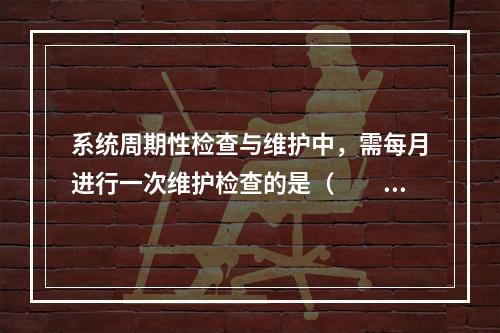 系统周期性检查与维护中，需每月进行一次维护检查的是（  ）。