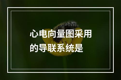 心电向量图采用的导联系统是