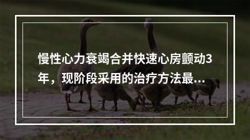 慢性心力衰竭合并快速心房颤动3年，现阶段采用的治疗方法最合适