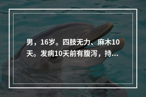 男，16岁。四肢无力、麻木10天。发病10天前有腹泻，持续2