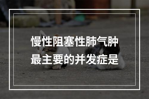 慢性阻塞性肺气肿最主要的并发症是