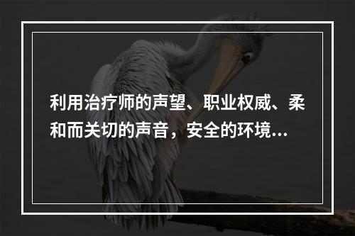 利用治疗师的声望、职业权威、柔和而关切的声音，安全的环境，