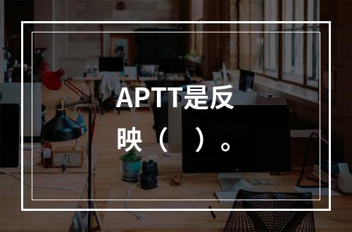 APTT是反映（　）。