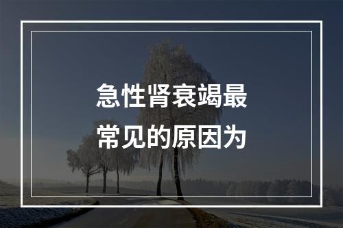 急性肾衰竭最常见的原因为