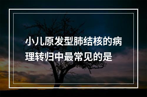 小儿原发型肺结核的病理转归中最常见的是