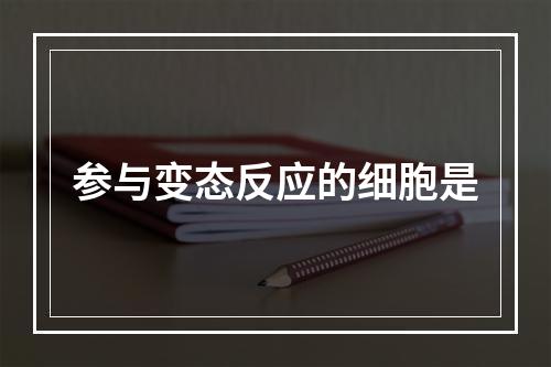 参与变态反应的细胞是