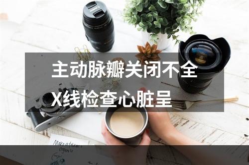 主动脉瓣关闭不全X线检查心脏呈