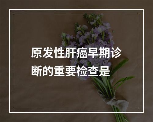 原发性肝癌早期诊断的重要检查是