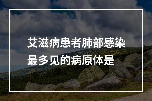 艾滋病患者肺部感染最多见的病原体是