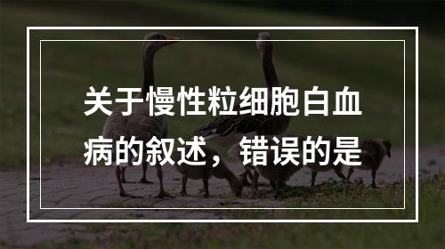 关于慢性粒细胞白血病的叙述，错误的是