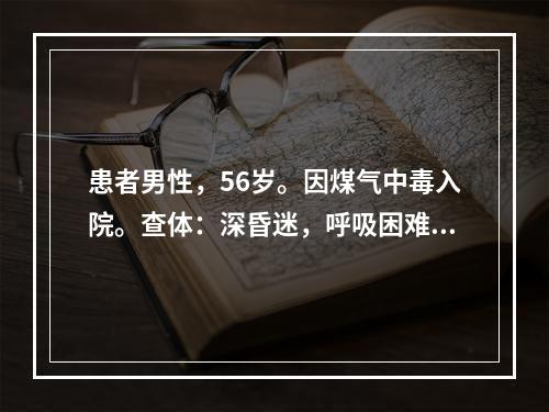 患者男性，56岁。因煤气中毒入院。查体：深昏迷，呼吸困难，面