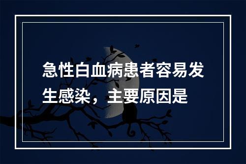 急性白血病患者容易发生感染，主要原因是