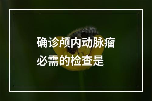 确诊颅内动脉瘤必需的检查是