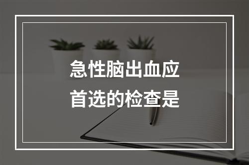 急性脑出血应首选的检查是