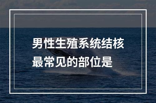 男性生殖系统结核最常见的部位是