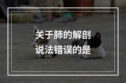 关于肺的解剖说法错误的是