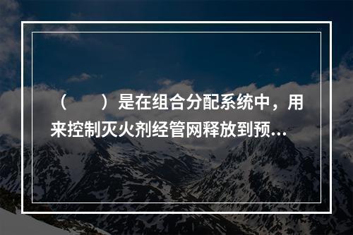 （  ）是在组合分配系统中，用来控制灭火剂经管网释放到预定防