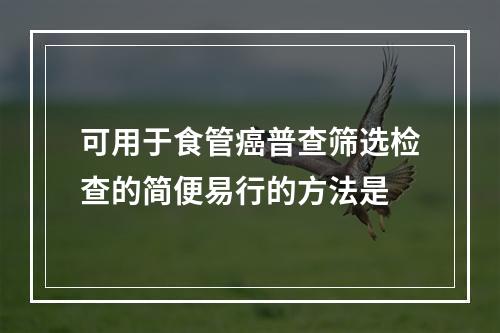 可用于食管癌普查筛选检查的简便易行的方法是