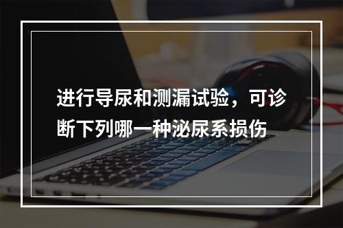 进行导尿和测漏试验，可诊断下列哪一种泌尿系损伤