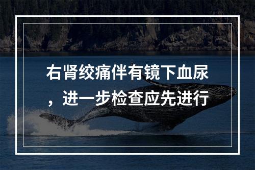 右肾绞痛伴有镜下血尿，进一步检查应先进行