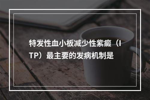 特发性血小板减少性紫癜（ITP）最主要的发病机制是