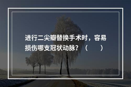 进行二尖瓣替换手术时，容易损伤哪支冠状动脉？（　　）