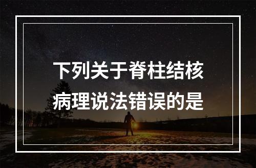 下列关于脊柱结核病理说法错误的是