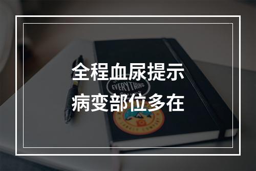 全程血尿提示病变部位多在