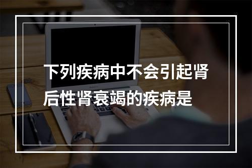 下列疾病中不会引起肾后性肾衰竭的疾病是