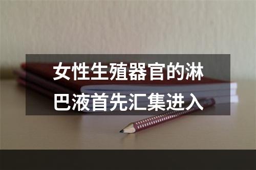 女性生殖器官的淋巴液首先汇集进入