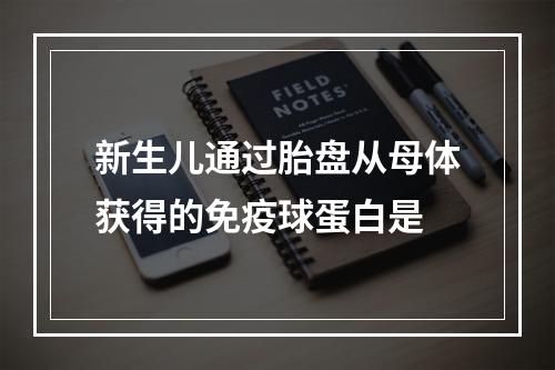 新生儿通过胎盘从母体获得的免疫球蛋白是