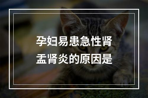 孕妇易患急性肾盂肾炎的原因是