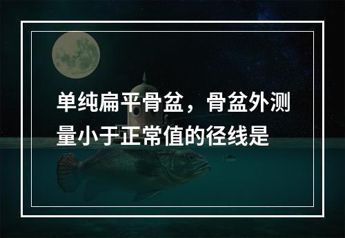 单纯扁平骨盆，骨盆外测量小于正常值的径线是