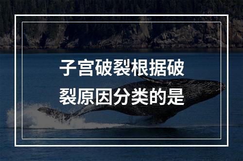 子宫破裂根据破裂原因分类的是